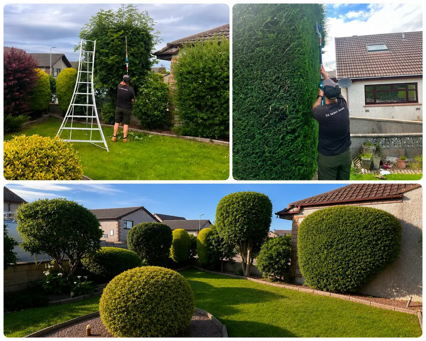 Hedge Pruning